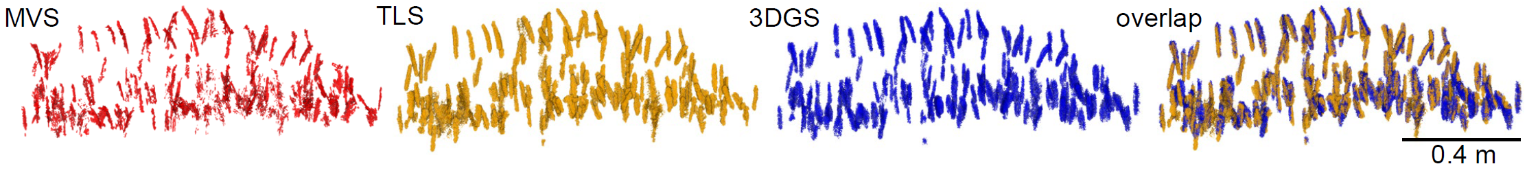 Corresponding wheat head instances extracted from all three datasets